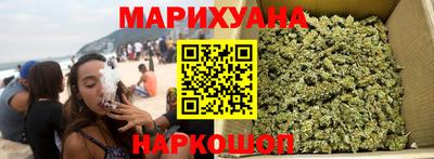 сатива Коммунар