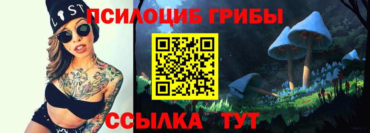 Галлюциногенные грибы прущие грибы Выкса